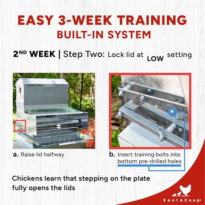 RentACoop Automatic Metal Treadle Feeder - Outdoor Use, Rainproof - Suitable for Chickens, Bantams, Poultry, Pheasants, etc. - 40lb Capacity