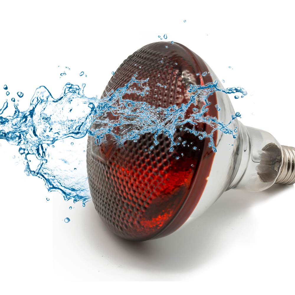 Fengrun Infrared Heat Lamp Waterproof Anti-Explosion Light Bulb for Piglet Chicken Duck Birds(250w,120v)