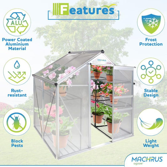 Machrus Ogrow 4 x 6 FT Walk-in Greenhouse with Sliding Door and Adjustable Roof Vent with Gardening Tool Set Included