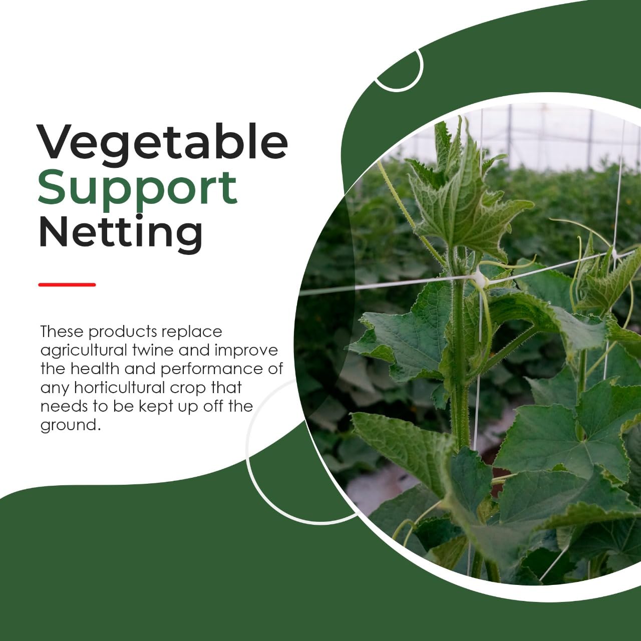 Hortomallas 5ft by 4920-Feet Professional Grade Vegetable Support Trellis Netting Roll/Scrog Net Roll, (59" x 4920' / 1.5m x 1500m) (mesh 5.9"x6.7" / 15cm x 17cm)