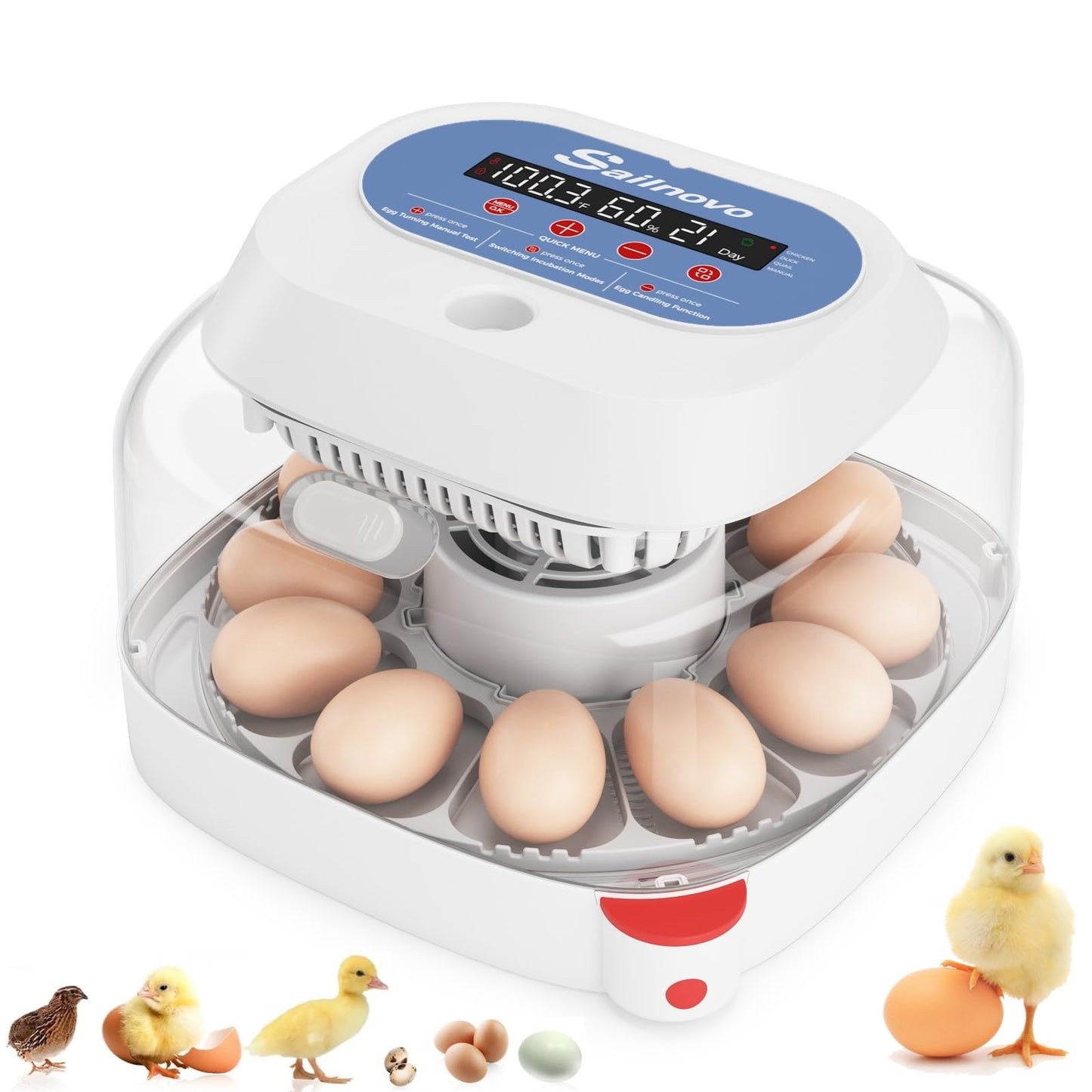 Sailnovo 12 Egg Incubators for Hatching Eggs, Chicken Egg Incubator with Automatic Egg Turning, Temperature Control, Humidity Display and Egg Candler, for Chicken Quail Duck, Fit Classroom, Home, Farm