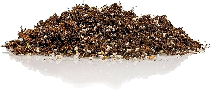 Gardenera Fern + Perlite Soil Mix - 10 Quart - for Repotting and Planting Succulents and Cactuses (2 Bags of 5 Quart)