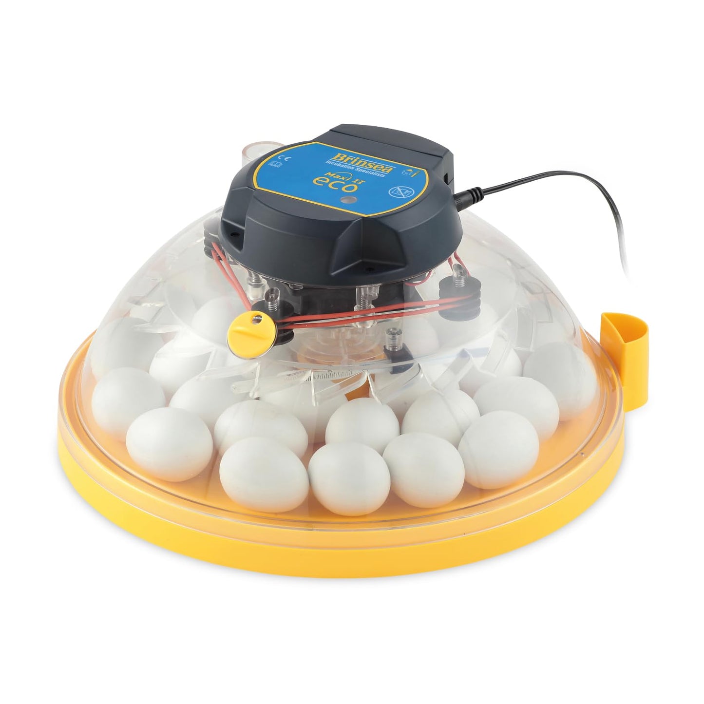Brinsea Maxi II Eco Manual Egg Incubator with Electronic Temperature Control, Fan Assisted Air Circulation for Hatching 30 Chicken, Duck, or Other Eggs, Ideal for Beginners