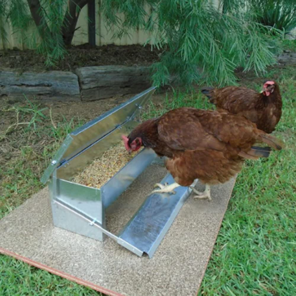 Abustle pig 5L Automatic Chicken Feeder Poultry Treadle Galvanized Steel Trough for Roosters Pheasant Chicken Outdoor Coop, Rat Proof with Weatherproof Lid