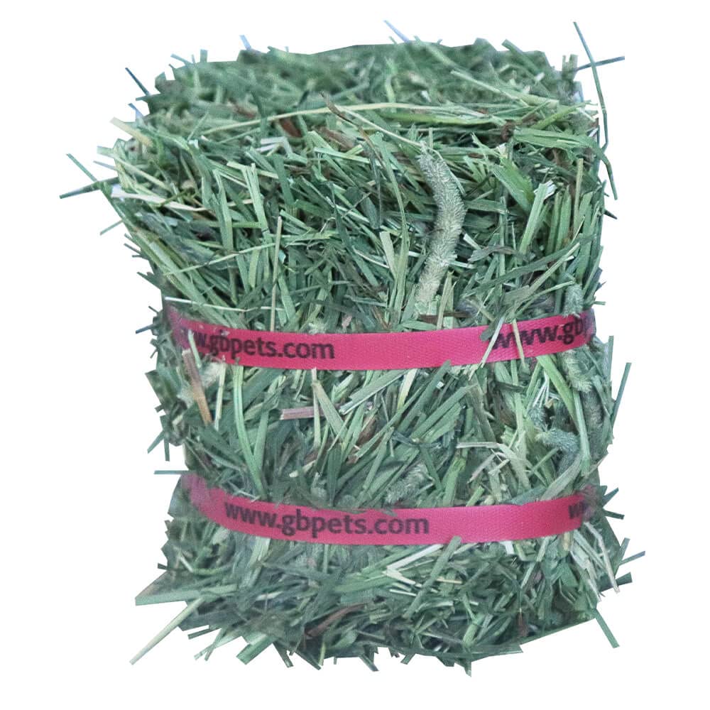 Grandpa's Best Timothy Hay Mini Bale, 10 Lbs (Packaging may vary),Brown