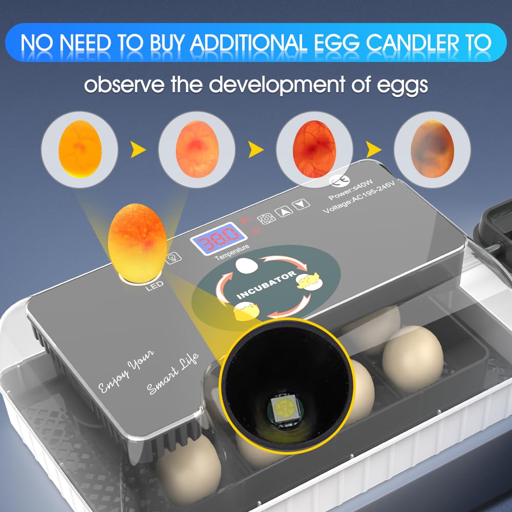 12 Automatic Egg Incubators for Hatching Eggs Whith Smart Temperature Control, Auto Turner, LED Candling for Chicken, Duck, Quail Eggs (12-Black)