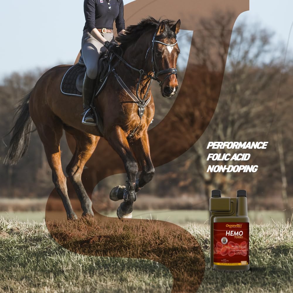 Organnact Hemo Turbo - Blood Cell Production Supplement for Horses and Livestock - Enhances Athletic Performance, Supports Anemia - Non-Doping, Green Apple Flavor - 33.8 fl oz (1L)