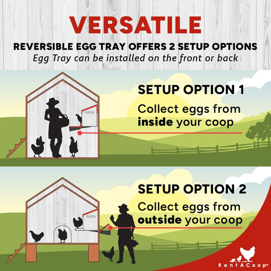 RentACoop Roll-Out Reversible Nesting Box Suite (3 Compartment) for Chickens, Ducks, Poultry