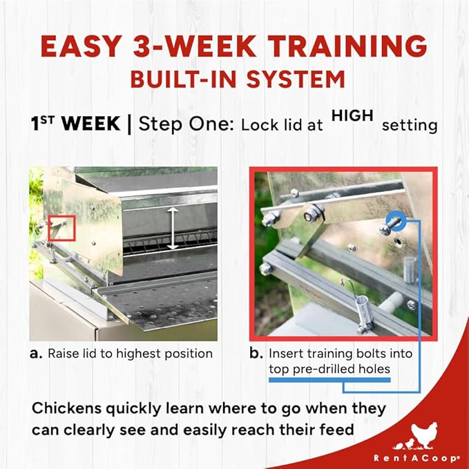 RentACoop Automatic Metal Treadle Feeder - Outdoor Use, Rainproof - Suitable for Chicken, Bantams, Poultry, Pheasants, etc. - 25lb Capacity