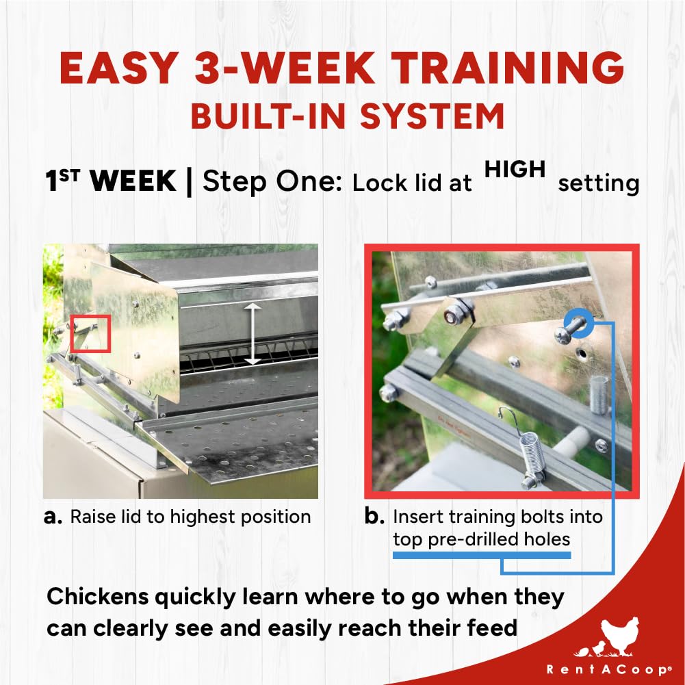 RentACoop Automatic Metal Treadle Feeder - Outdoor Use, Rainproof - Suitable for Chicken, Bantams, Poultry, Pheasants, etc. - 25lb Capacity