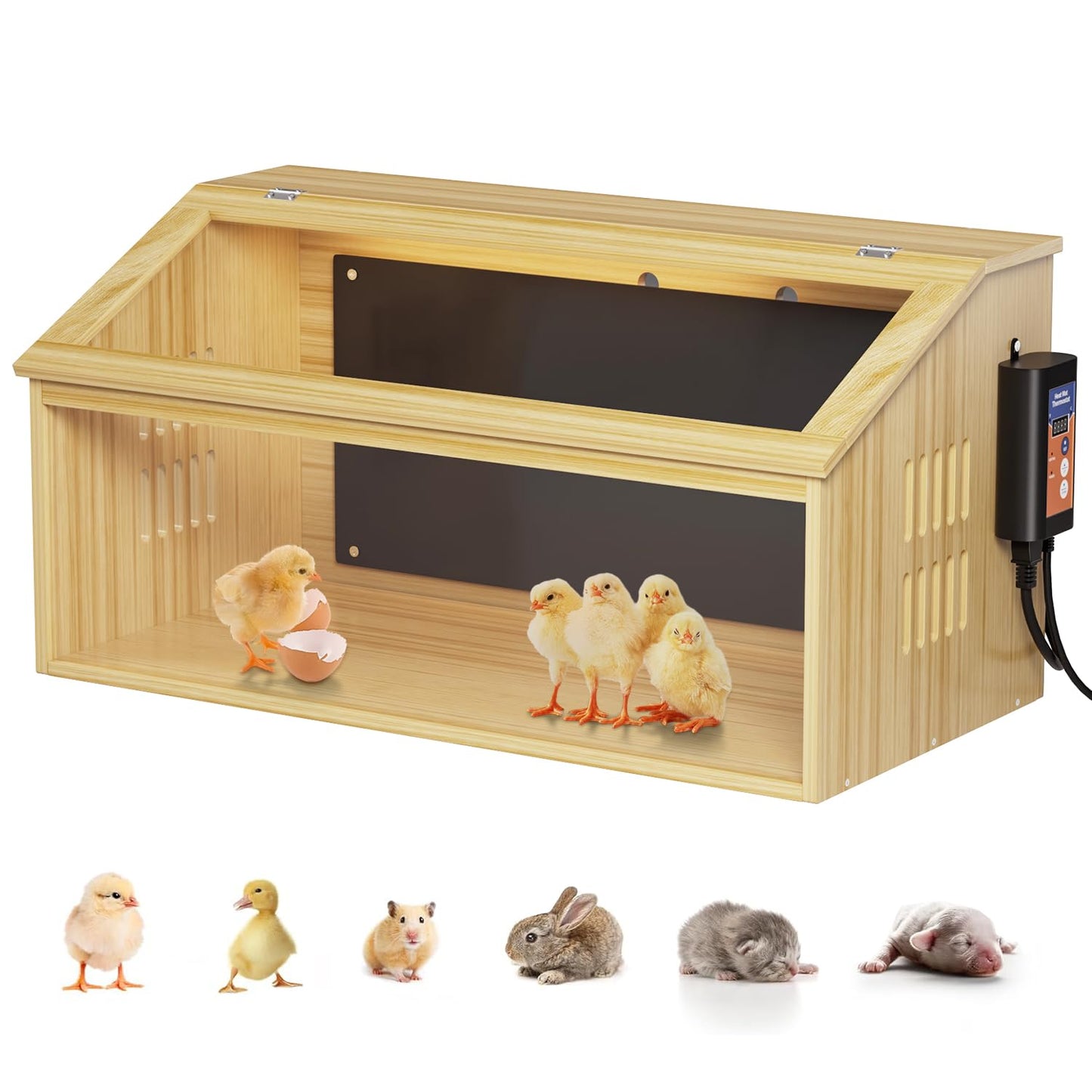 EVERYGROW Brooder Box for Chicks, Chicken Brooder Box with Thermostat & Heating Plate, brooder House for Chicks with Heat, Baby Chicken cage Quails Hamsters for 30 Chicks,31.5"*15.7"*15.7"