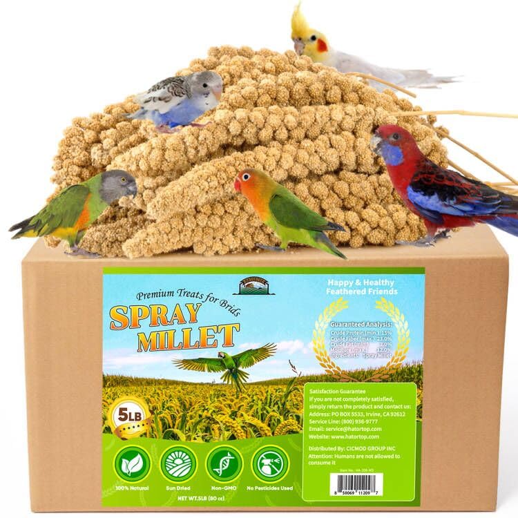 HATORTOP Spray Millet for Birds 5LB - All Natural Sun-Dried Healthy Treat, Millet Spray for Parakeets, Parrots, Lovebirds, Cockatiels Food, 100% Non-GMO High Protein Fresh Bird Seed