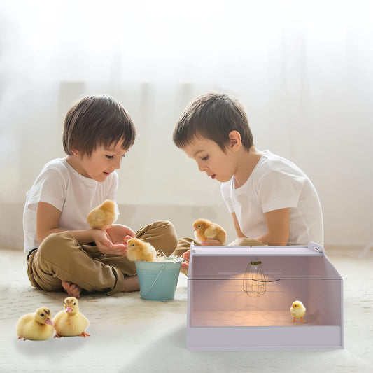 Meuiosd Chick Brooder Box with Heat Lamp - Suitable for Chicks, Ducks, Parrots & Lizards (19" X 12" X 12")