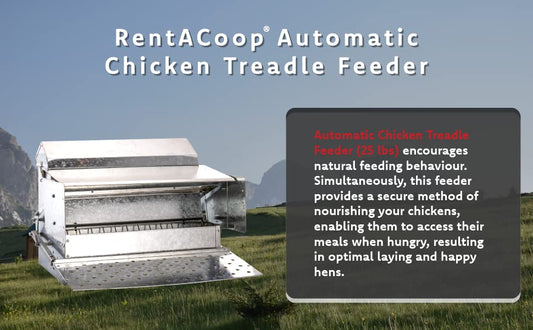 RentACoop 25lb Automatic Metal Treadle Feeder and 15lb Extension Bundle - 40lb Capacity Total