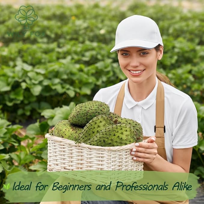 Premium Soursop (Graviola) Seeds – 25+ Non-GMO Heirloom - Fast-Growing, High-Yield Tropical Fruit Trees