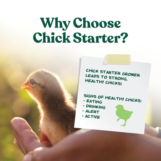 Manna Pro Medicated Chick Starter Grower - Crumbled Chick Feed - Feed for Young Chickens - 6-Pack of 5lbs