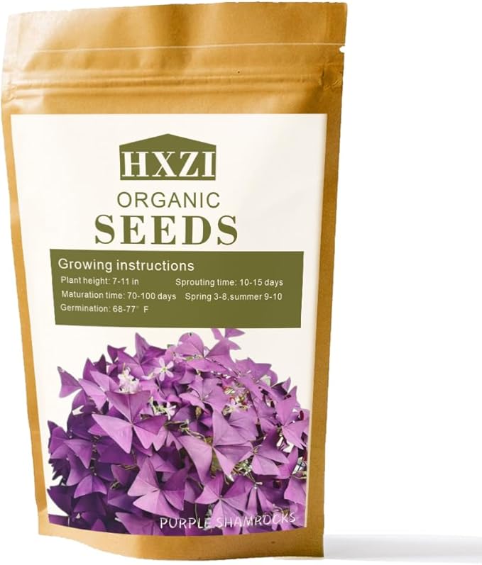 Pack of 24 Purple Shamrocks Bulbs, Oxalis Bulbs for Planting, Oxalis Triangularis Bulbs Good Luck Flower Bulbs