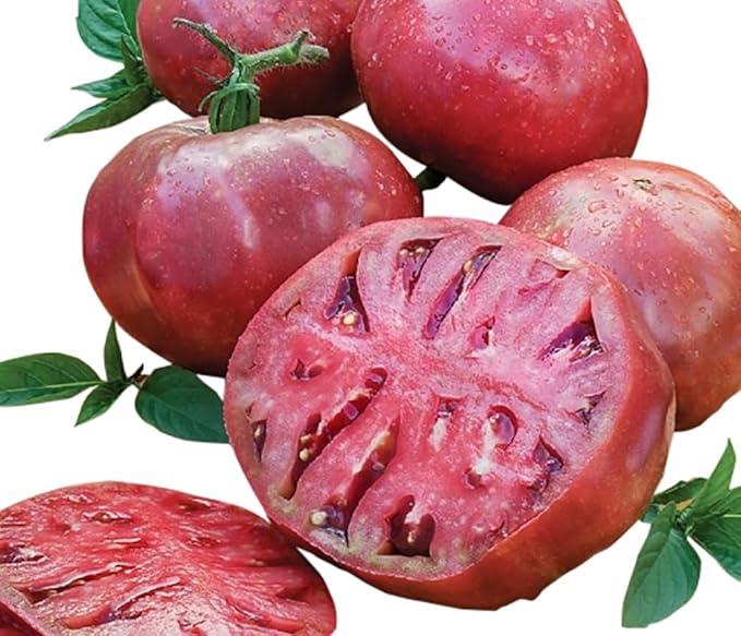 Cherokee Purple Heirloom Tomato Seeds - Large Tomato - One of The Most Delicious Tomatos for Home Growing