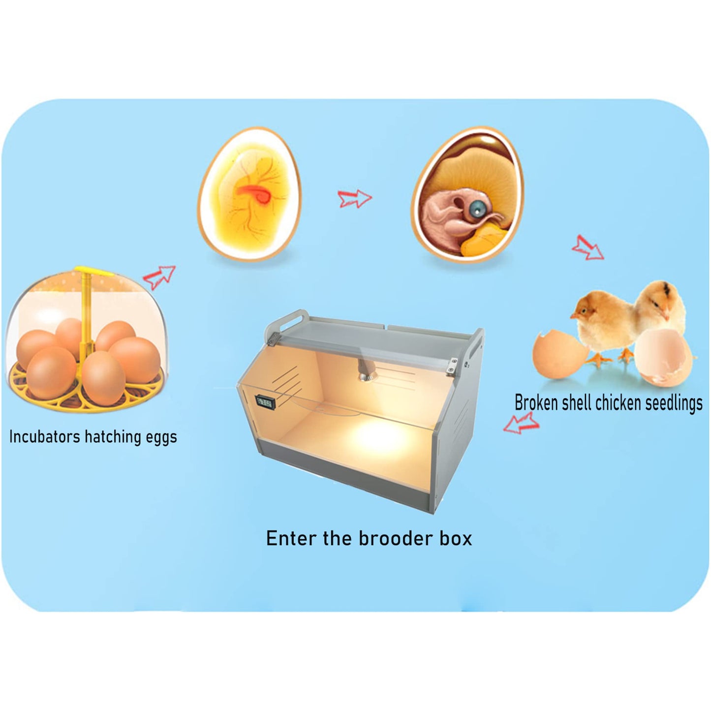 WIONBE Intelligent Brooder Box for Newborns Chicks Ducks Quail Birds Small Animals Manual Incubators Poultry Heater Breeding Box