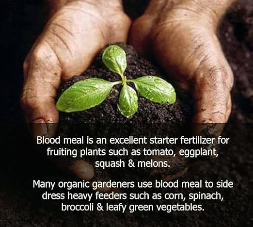 𝐁𝐄𝐒𝐓𝐒𝐄𝐋𝐋𝐄𝐑 Organic Blood Meal Fertilizer by Gardenera - 12-0-0 NPK - All-Natural Plant Food Source of Nitrogen for Organic Gardening, Flowers, Vegetables, Trees & Shrubs - 20 QUARTS