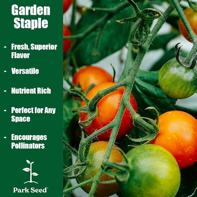 Park Seed Cherry Tomato Seeds, Planting Vegetables, Easy to Grow, Non-GMO, Variety of Colors and Sizes, Spring Garden, Kitchen Minis Siam, Pack of 10