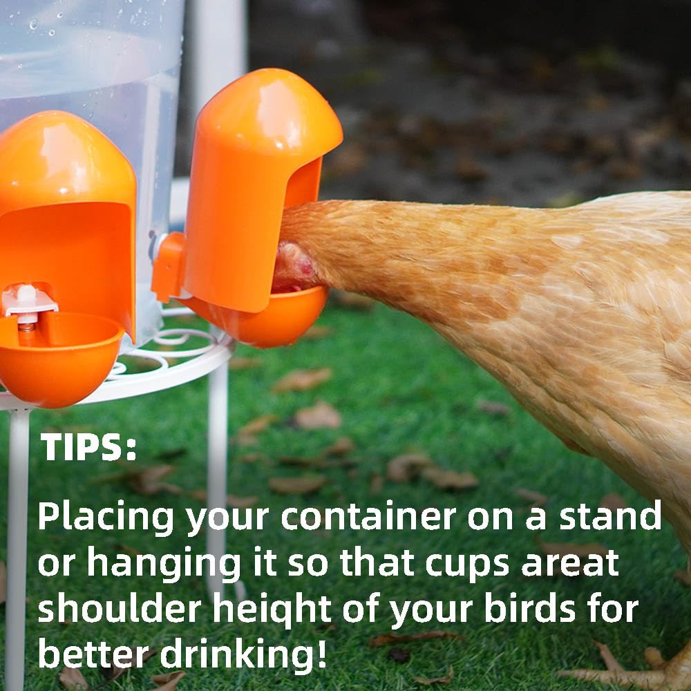 Large Chicken Waterer Cups Automatic with Anti-Roosting Cover | Poultry Waterer Cups Suitable for Chicks, Duck, Goose, Turkey and Bunny (5 Pack)