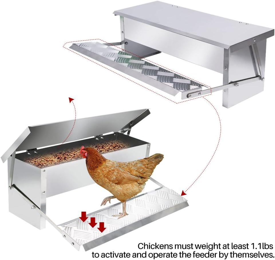 APlayfulBee Automatic Chicken Feeder 5L Treadle Galvanized Steel Poultry Feeders Self-Opening Automatic Food, with Weatherproof Lid Rain Cover for Roosters Pheasant Chicken Outdoor Coop