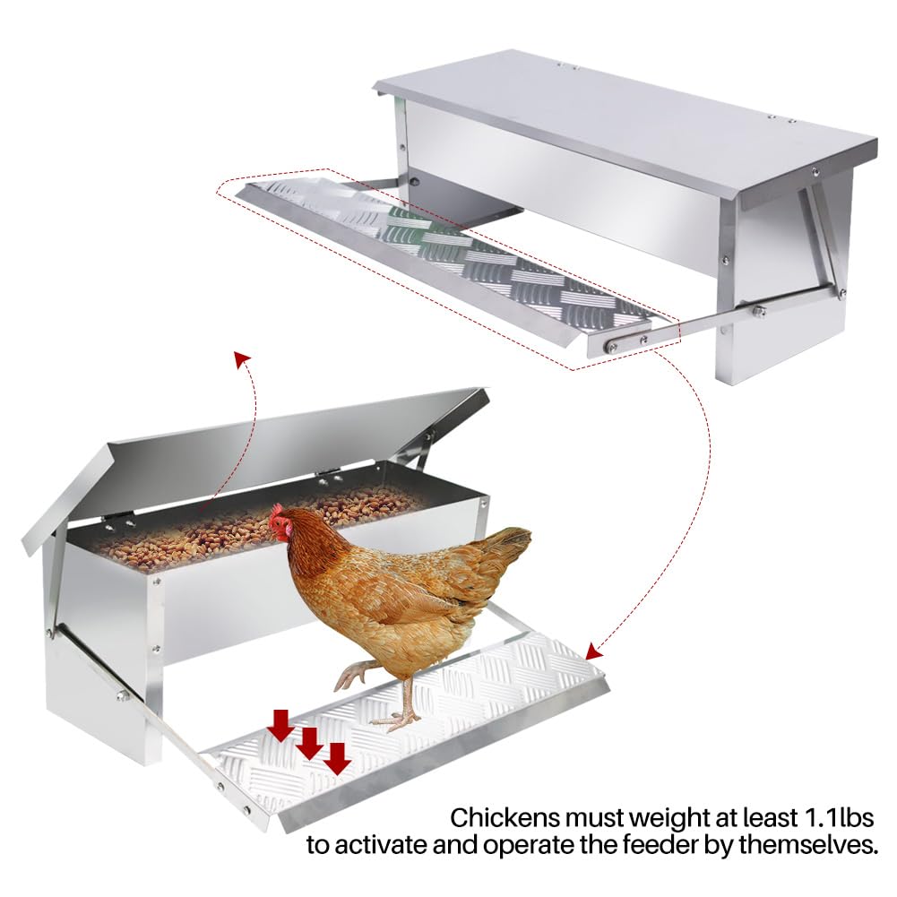 APlayfulBee Automatic Chicken Feeder 5L Treadle Galvanized Steel Poultry Feeders Self-Opening Automatic Food, with Weatherproof Lid Rain Cover for Roosters Pheasant Chicken Outdoor Coop