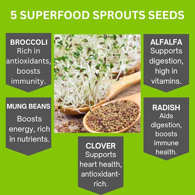 ZestiGreens Sprouting Seed Sampler – 5 Top Varieties (2 Packs Each, 11 g) | Broccoli, Alfalfa, Mung Bean, Clover & Daikon Radish | High-Germination, Perfect for Jars & Trays