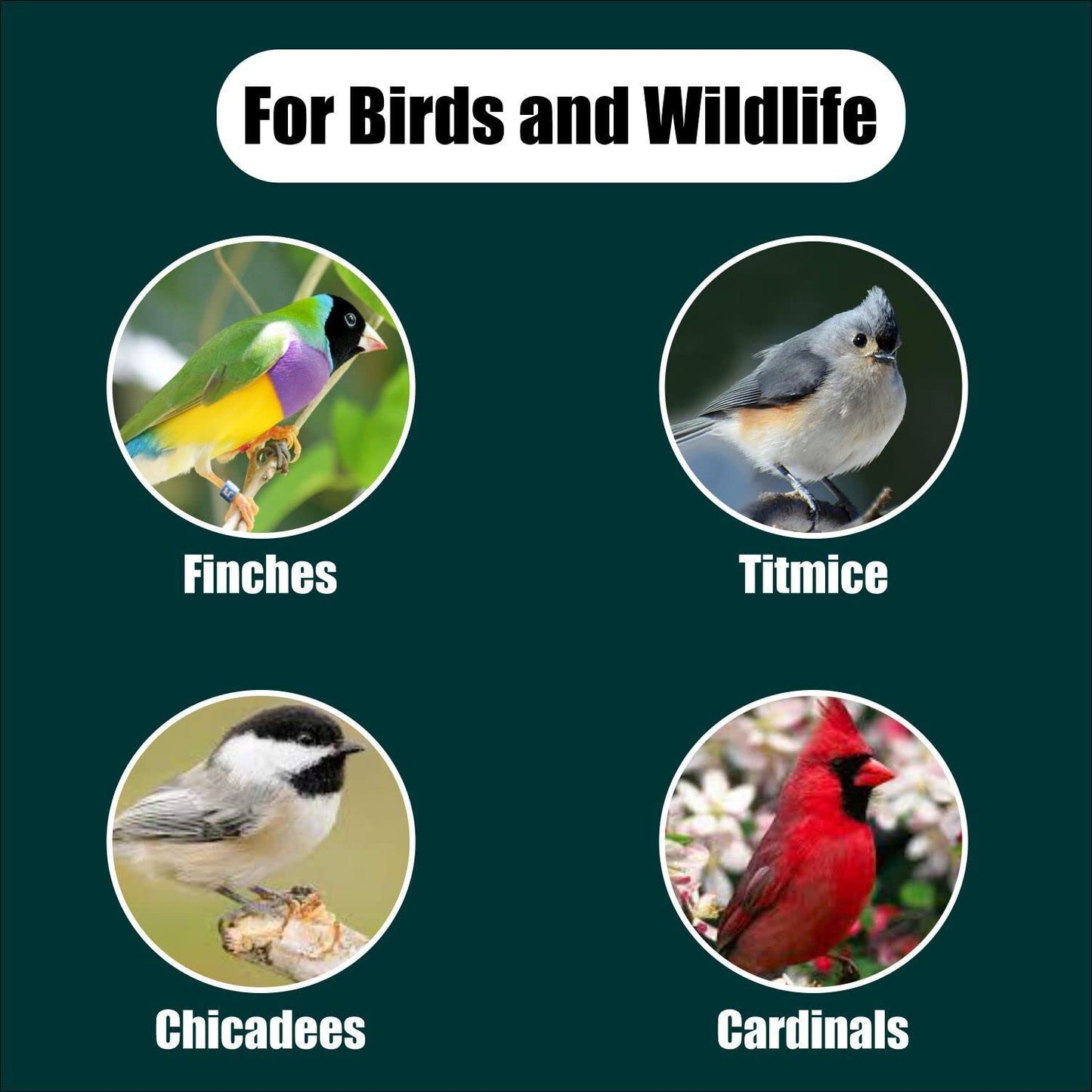 Old Potters Wildlife Black Oil Sunflower Seeds for Birds and Wildlife, Non-GMO & USA Grown on Small Farms (12 lbs)