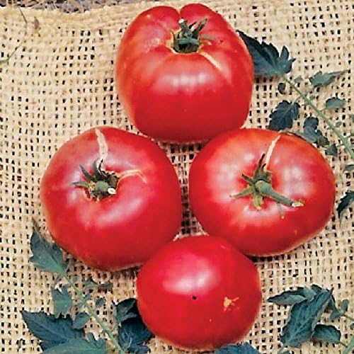 Park Seed Variety of Tomato Seeds, Planting Vegetables, Easy to Grow, Non-GMO, Perfect for Harvesting, German Johnson, Pack of 30