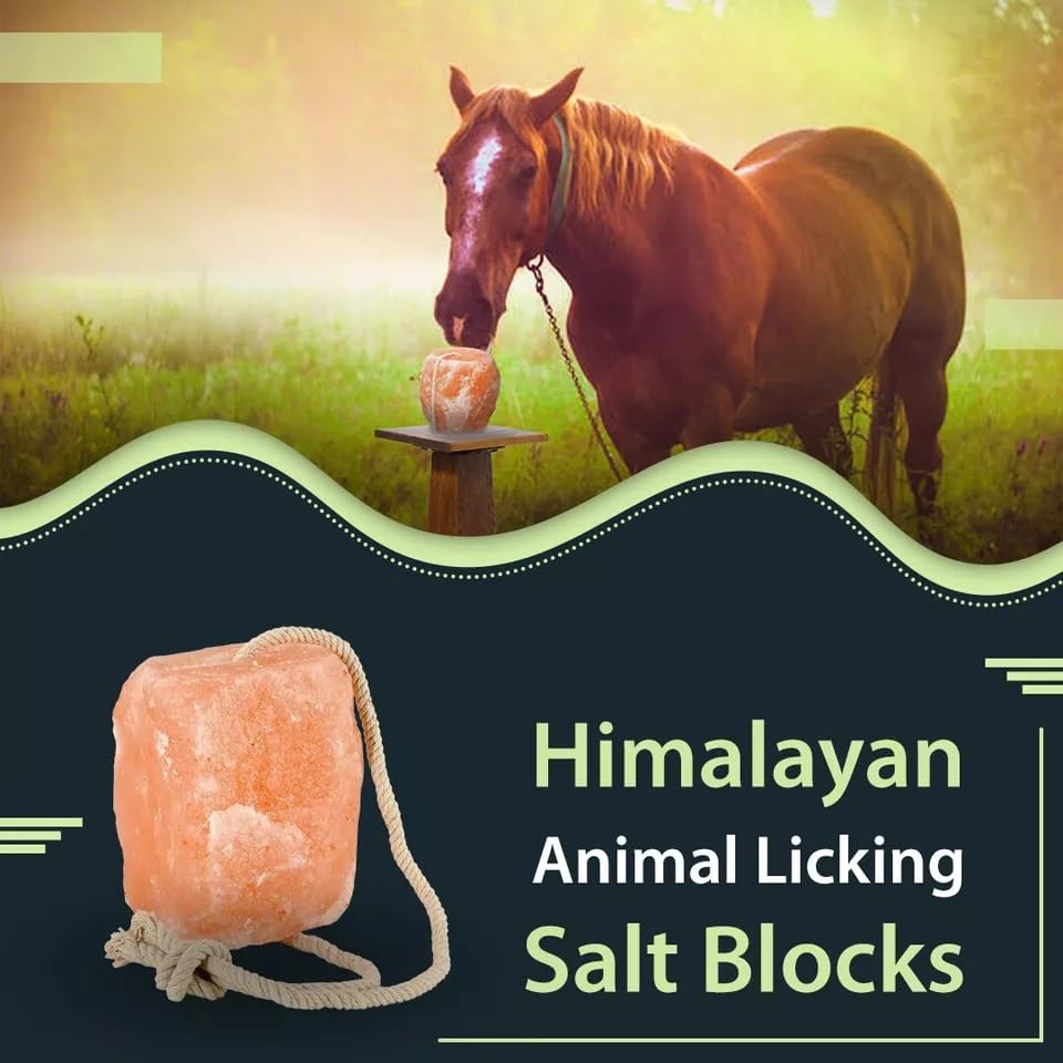 Pink Salt wall 5–6 lbs Salt Lick for Deer Natural Mineral Block for Deer and Wildlife (Pack of 2)