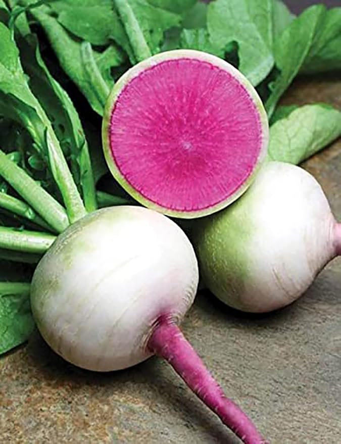Watermelon Radish - Heirloom Seeds