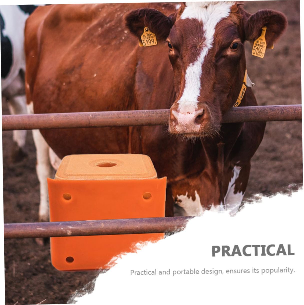 CAXUSD 2Pcs Thickened Salt Block Holders for Livestock Mixed Style Sheep Salt Lick Feeding Boxes with Lid and Spoon Durable Salt Containers for Cattle and Horses