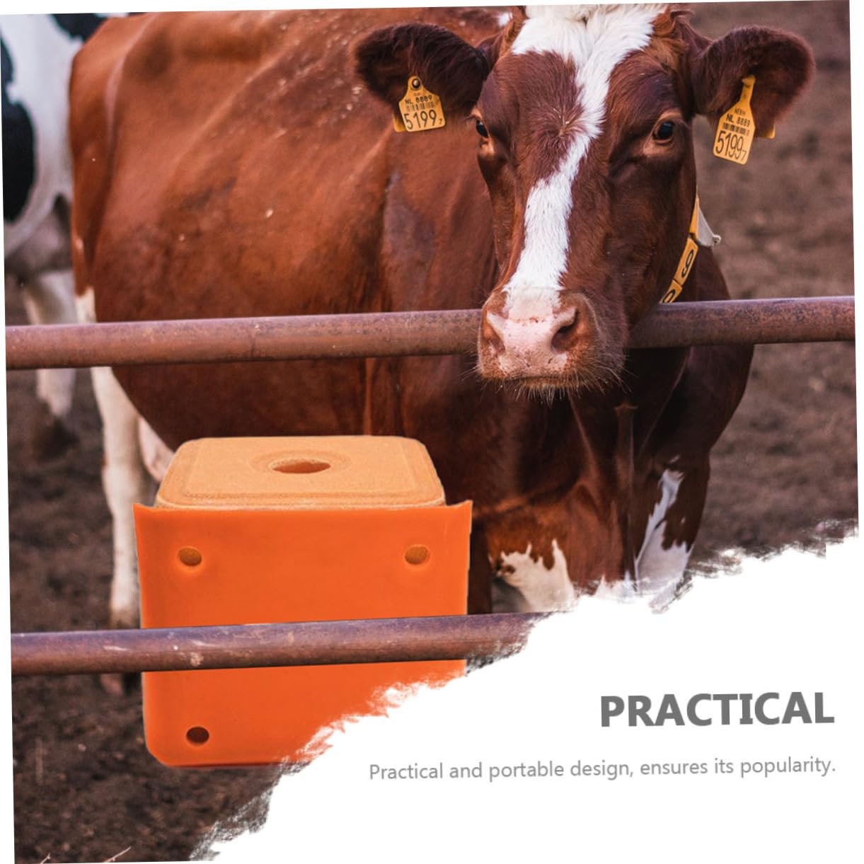 CAXUSD 2Pcs Thickened Salt Block Holders for Livestock Mixed Style Sheep Salt Lick Feeding Boxes with Lid and Spoon Durable Salt Containers for Cattle and Horses