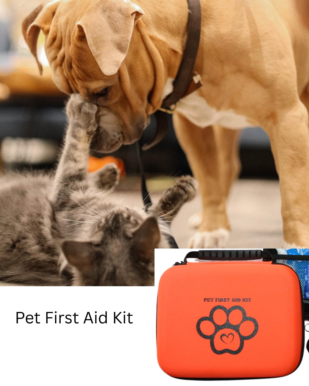 Dog First Aid Kit, Pet Friendly, Refillable, Water Resistant, Compact, Pet First Aid, Dog Medical, Dog Emergency Kit, Cat First Aid, Camping & Hiking Essentials, Pet Care, Travel