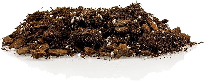 GARDENERA Alocasia Plant Potting Soil - Enhance Leaf Beauty and Health with Professional Grade Nutrient-Rich Mix - 3 Quart