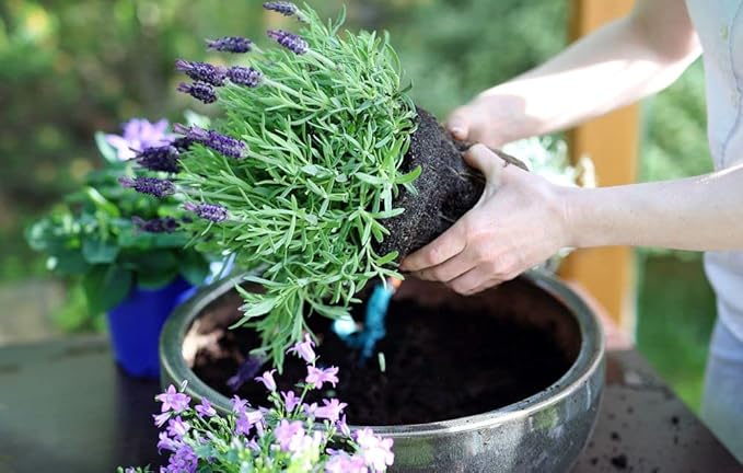 Gardenera Moisture Control Potting Mix - Perfect for Indoor and Outdoor Container Gardening! - 20 Quart