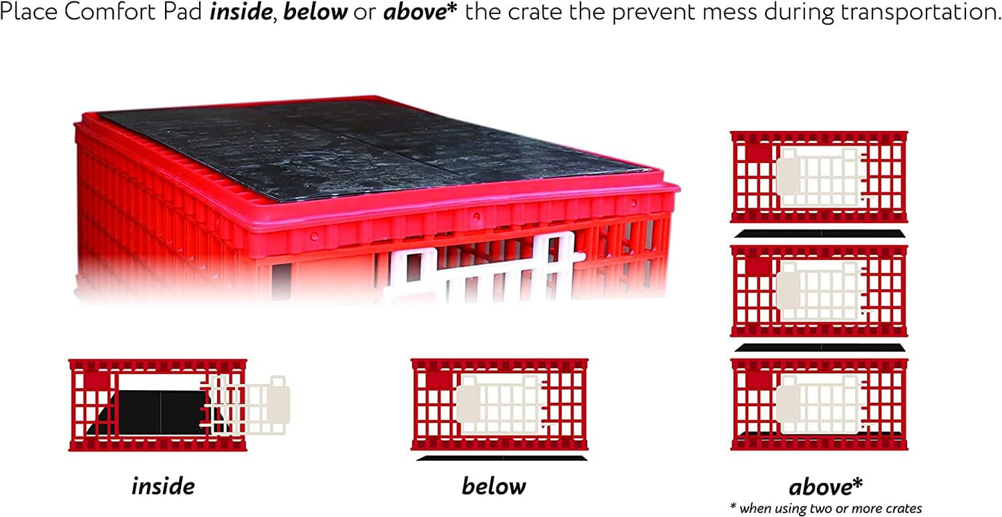 RentACoop Stackable Poultry Carrier Crate (Pack of 4) 29" L x 22" W x 12" H for Chickens