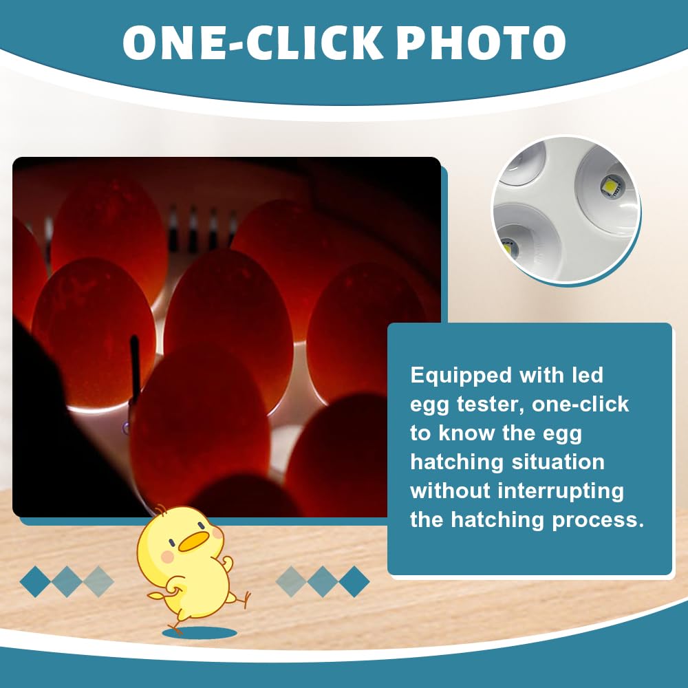 HOWOOIUA 9 Egg Incubator for Hatching Eggs – Automatic Temperature Control, LED Candler, High Hatch Rate – Ideal for Chicken, Quail, Parrot Eggs