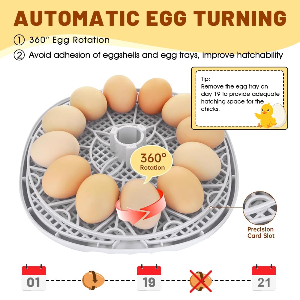 12 Automatic Egg Incubators for Hatching Eggs Whith Smart Temperature Control, Auto Turner, LED Candling for Chicken, Duck, Quail Eggs (12-Blue)