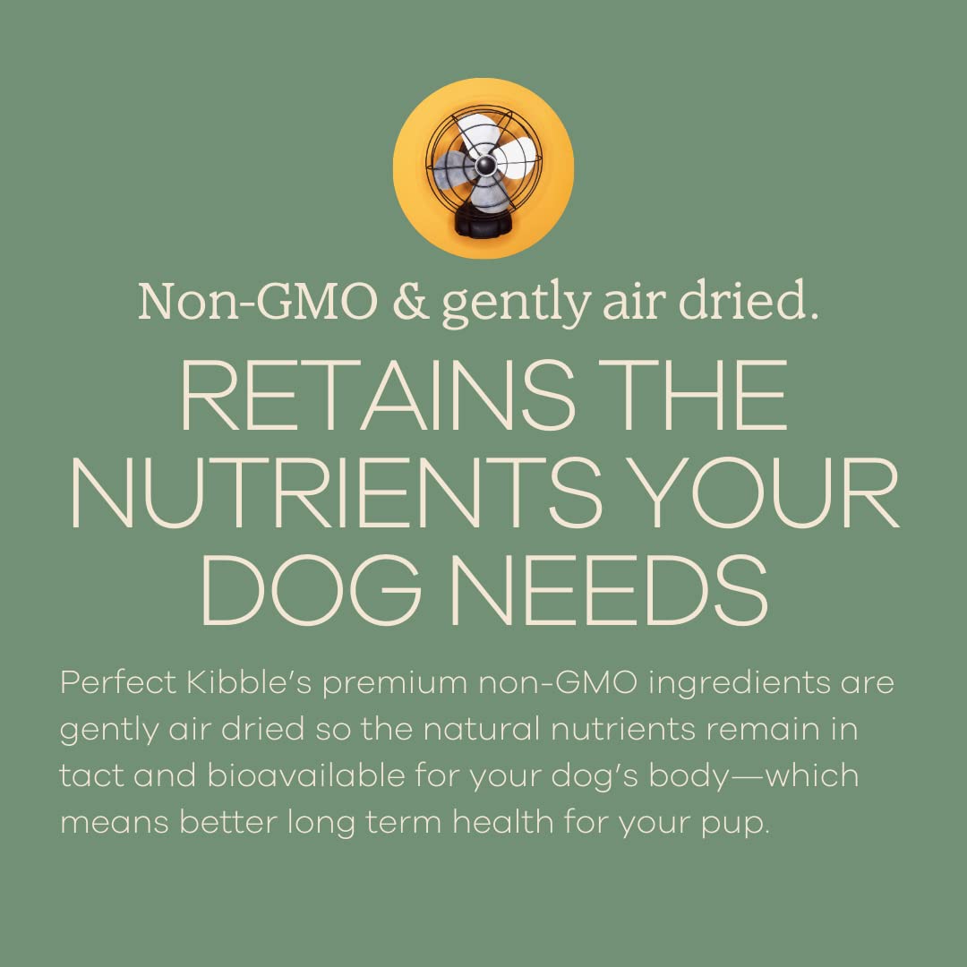 Yumwoof Perfect Kibble Non-GMO Air Dried Dog Food | Improves Allergies & Digestion with Organic Coconut Oil, MCTs & Antioxidants | Vet-Approved Soft Dry Diet | Made in USA (Chicken 3.5lbs)