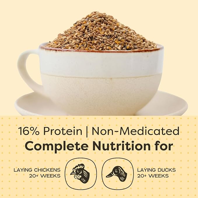 Scratch and Peck Whole Grain Layer Mash Chicken and Duck Feed - 10 lbs Bag - Corn-Free and Soy-Free - 16% Protein, Certified Organic and Non-GMO Project Verified Chicken Food