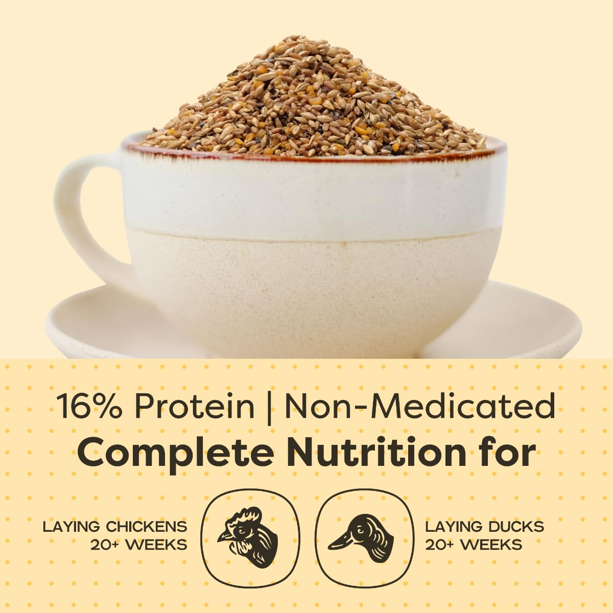 Scratch and Peck Whole Grain Layer Mash Chicken and Duck Feed - 10 lbs Bag - Corn-Free and Soy-Free - 16% Protein, Certified Organic and Non-GMO Project Verified Chicken Food