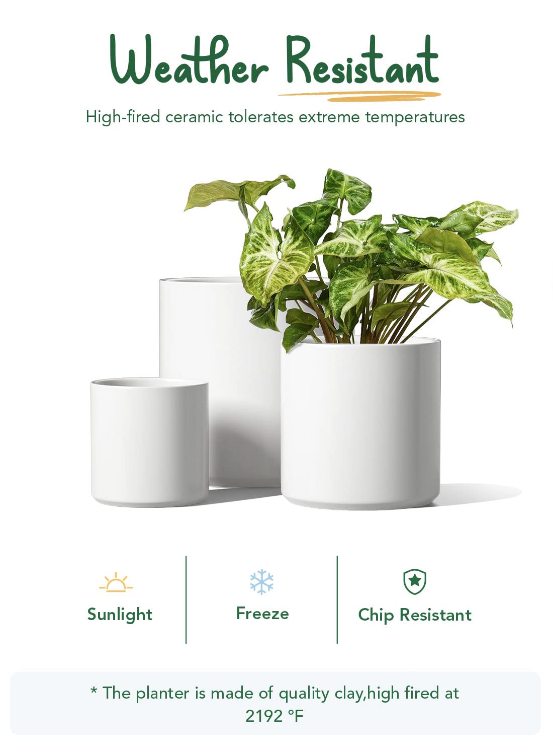 LE TAUCI Large Plant Pots Set, 12/10/8/6 Inch Ceramic Planters for Indoor Plants, Mid-Century Modern Flower Planter Pots with Drainage Hole and Plug, Cylinder Round Planter Pots, Set of 4, White