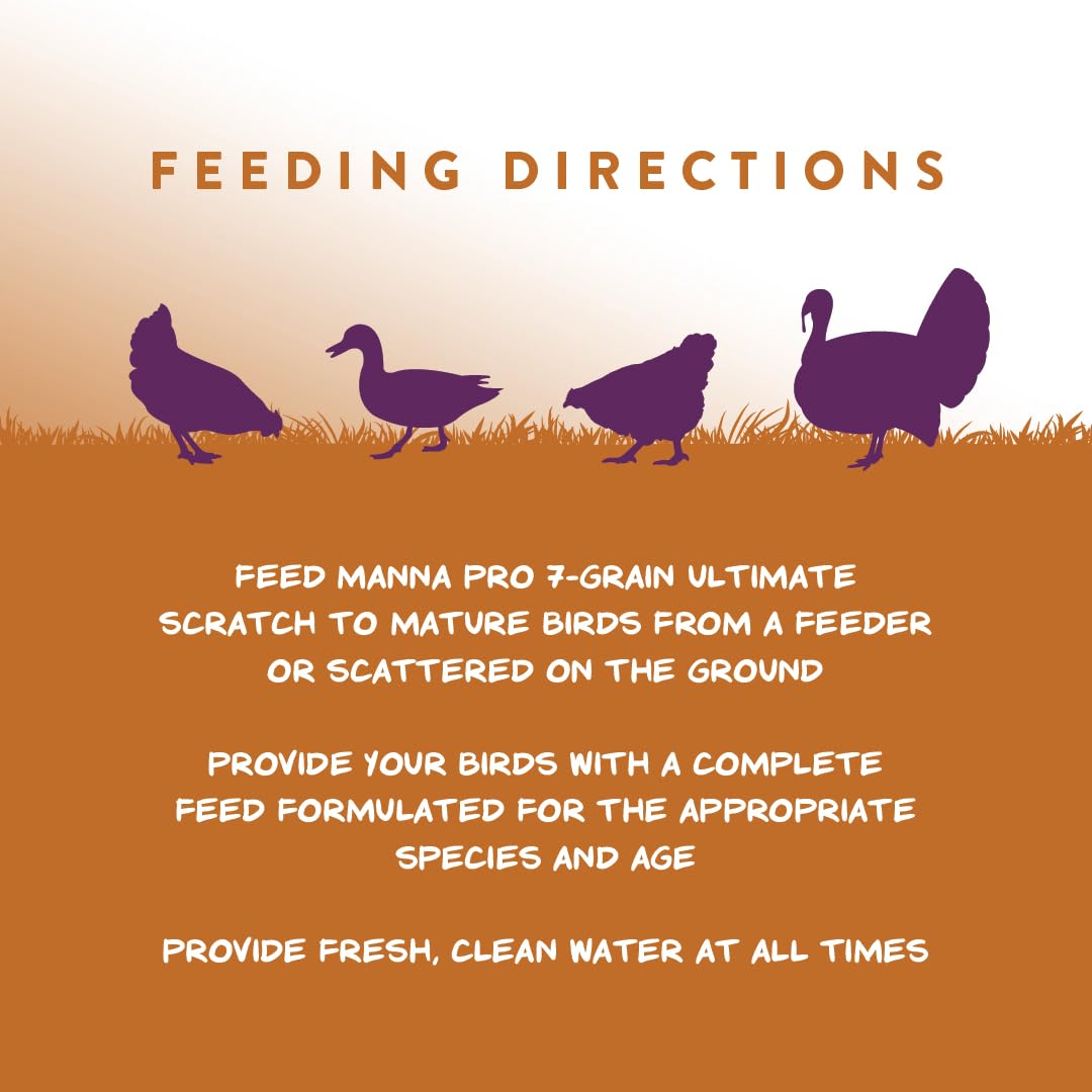 Manna Pro 7-Grain Ultimate Chicken Scratch – Non-GMO Scratch Grain Treat for Chickens, Hens and Other Birds – Natural Multigrain Blend for Poultry and Backyard Flocks – 10 lb Bag