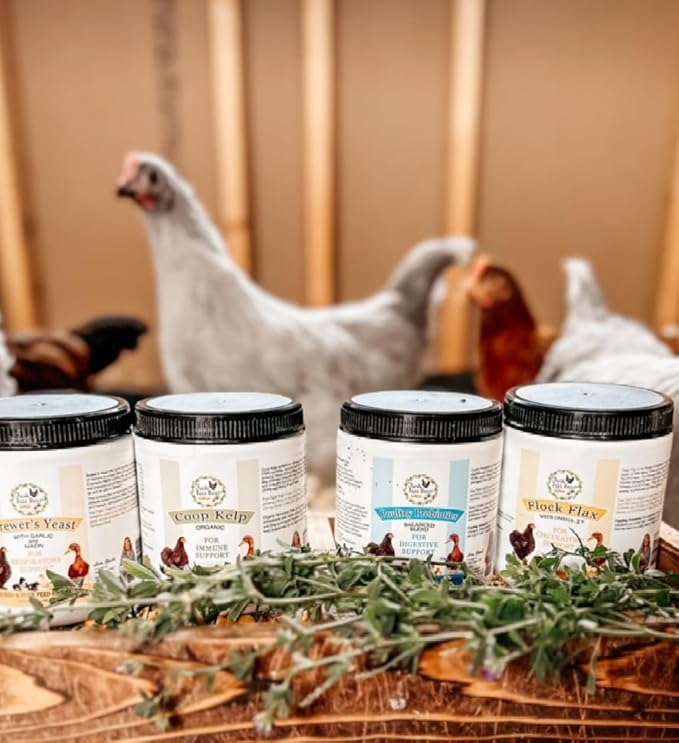 Fresh Eggs Daily Chicken and Duck Natural Feed Supplement Sampler 4-Pack Includes 12 oz. Poultry Probiotics Organic Coop Kelp Brewers Yeast with Garlic Flock Flax