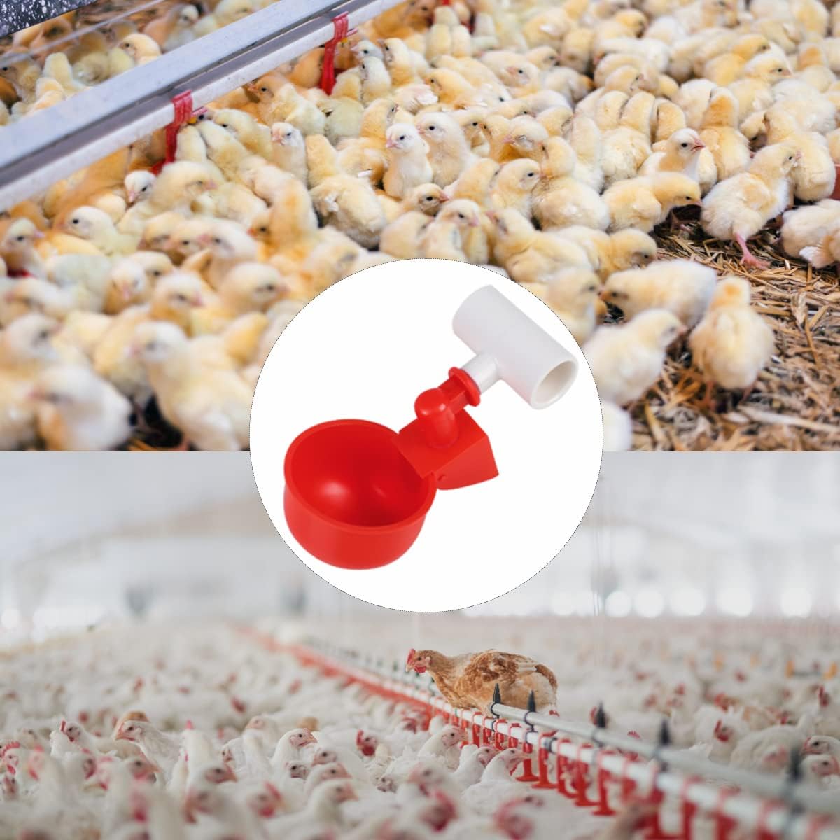 12 Pack Large Automatic Chicken Waterer Cups, Plastic Chicken Water Feeder Chicken Water Bowls Poultry Water Feeder Kit for Chicks, Duck, Goose, Turkey and Bunny