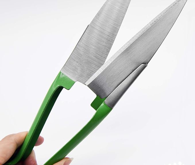 Sheep Shear Grass Shear Alpaca Shears R Shaped Design For Large Thick-Haired Animal Grooming (Green)