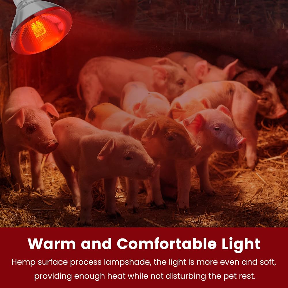 DaToo Infrared Heat Lamp Bulb for Chickens Red Heat Lamp Flood Light Heat Lamp Bulb 150 W Heating Bulbs for Brooder Coops Pets Chicks Reptiles Food Service (1 Pack)